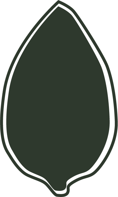 Feuille verte